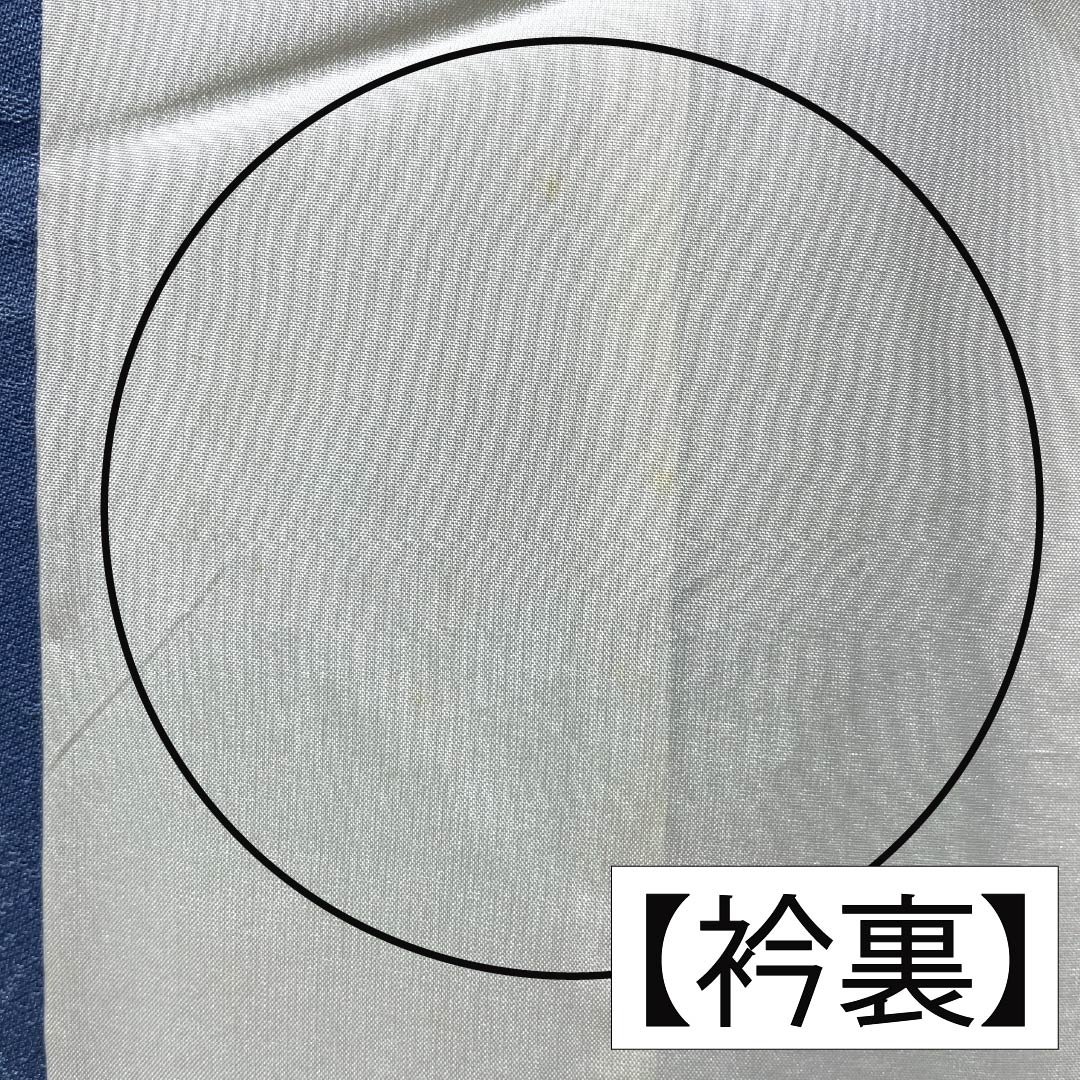 訪問着 正絹 Bランク 袷 身丈164.5cm 裄丈64cm 勿忘草色（わすれなぐさいろ） 付下げ 和田光正 金彩友禅 流水 草木 青系 1112007784417