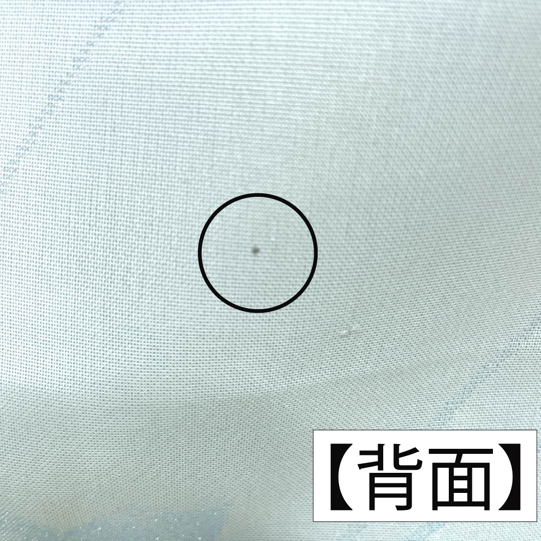 夏物 ポリエステル お召 Aランク 身丈159.5cm 裄丈64.5cm 青白磁色（せいはくじいろ） すくい織 薔薇 洗える着物 紗 水色系 1132004963324