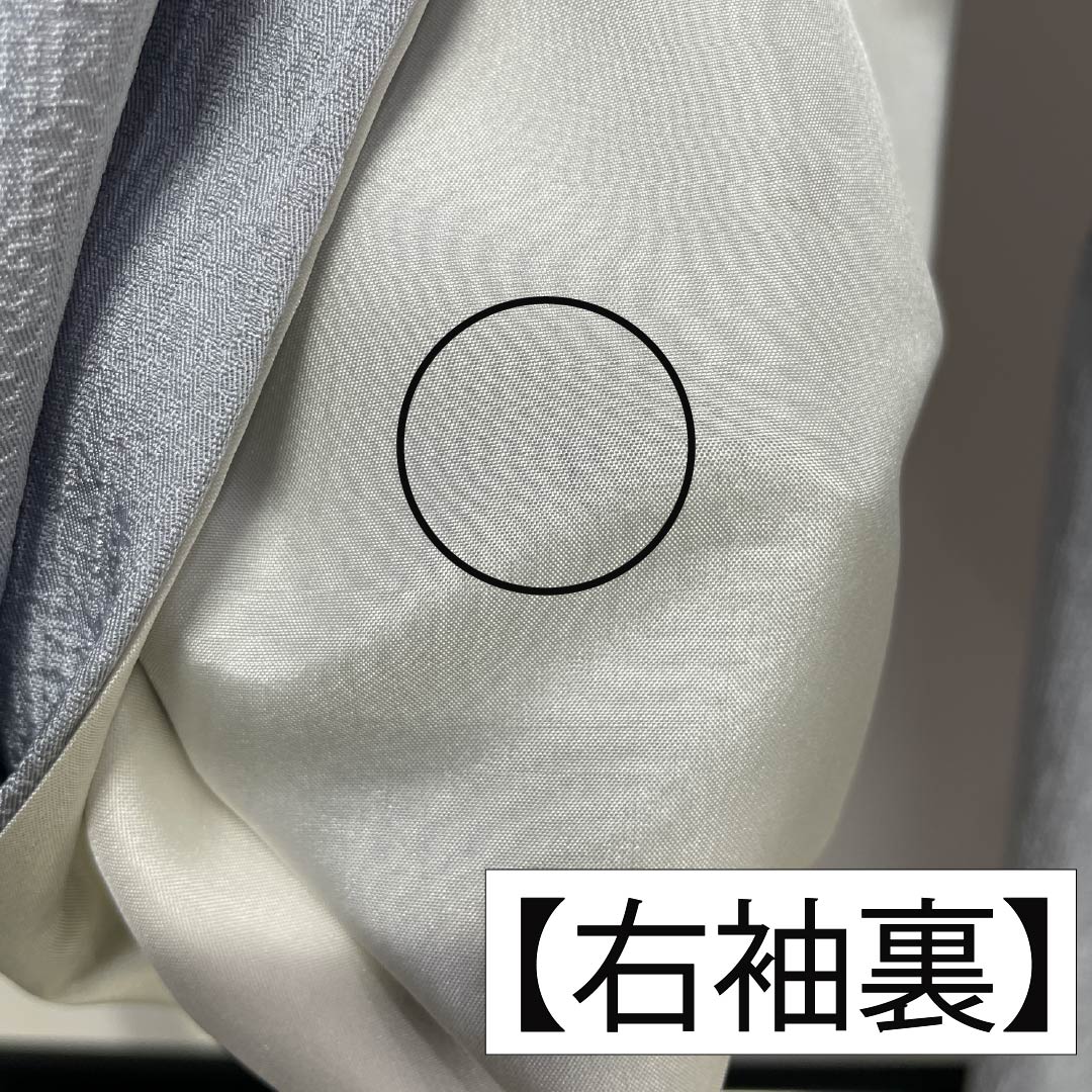 訪問着 正絹 Bランク 袷 身丈168cm 裄丈62cm 白銅色（はくどういろ） 蘇州刺繡 草花 流水 しつけ糸付き グレー系 1112007524522