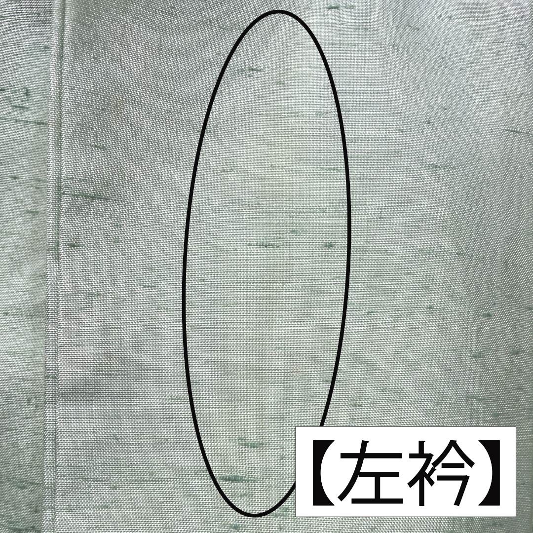 訪問着 正絹 Aランク 袷 身丈155cm 裄丈61cm 薄緑色（うすみどりいろ） 牛首紬 一つ紋 中陰蔦 草花 緑系 1112007533319