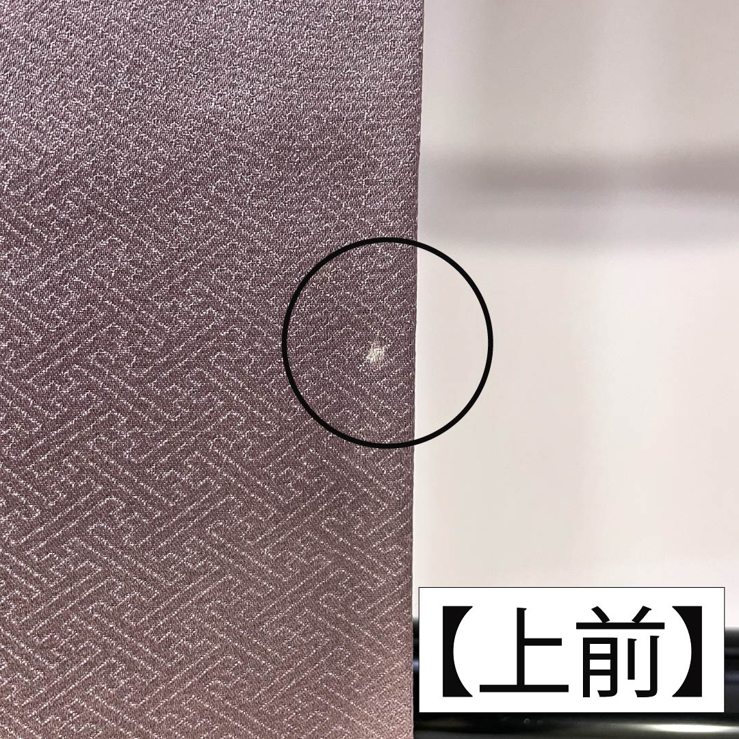 Formal kimono, pure silk, rank B, lined, length 164cm, sleeve to sleeve 64.5cm, reddish gray, Kyo-Yuzen, one crest, plants, purple tones, 1112007044420