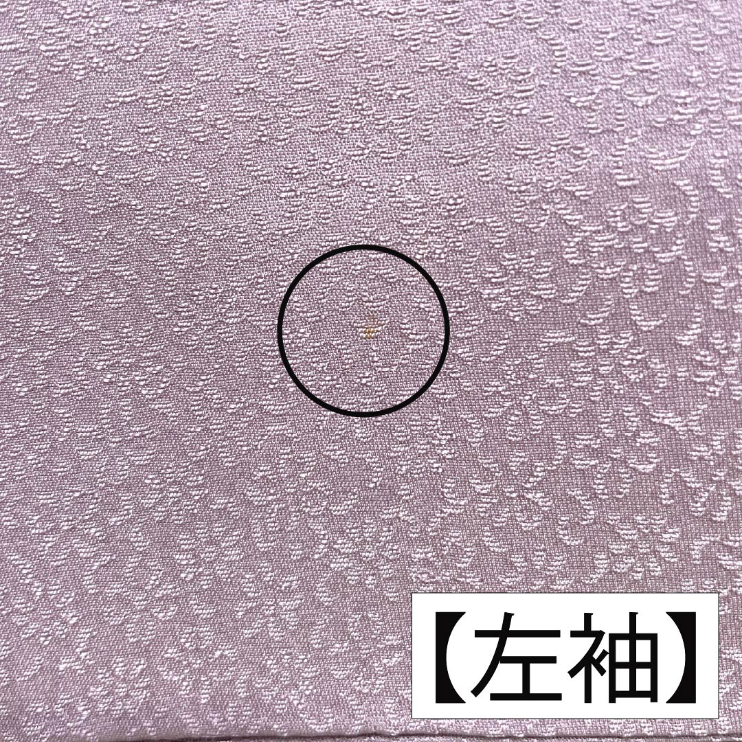 訪問着 正絹 Bランク 袷 身丈165.5cm 裄丈67.5cm 淡紅藤色（うすべにふじいろ） 付下げ 草花 紫系 1112007404520