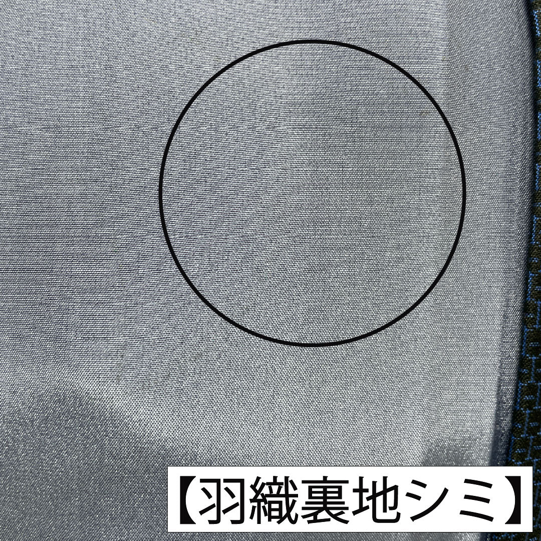 Men's Pure Silk A-Rank Kimono, Length 140cm, Sleeve Length 67.5cm, Tsumugi Pongee with Tortoiseshell Pattern, Lined, Blue, Item Number 1119001773417
