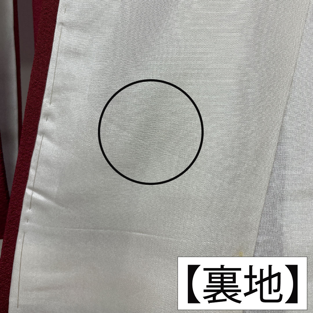 訪問着 正絹 袷 身丈163.5cm 裄丈64.5cm 臙脂色（えんじいろ） 辻ヶ花 Aランク 赤系 1112005823412