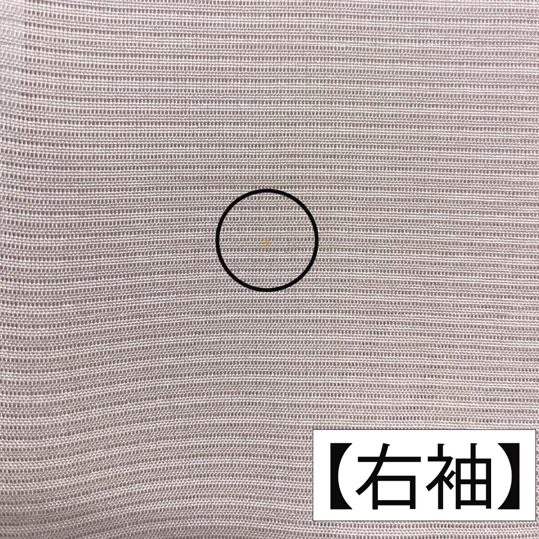 Summer pure silk formal kimono, length 153cm, sleeve length 61.5cm, cherry blossom color, Kyoto Yuzen, one crest, circle with tangerines, silk, B rank, pink, 1132002194213