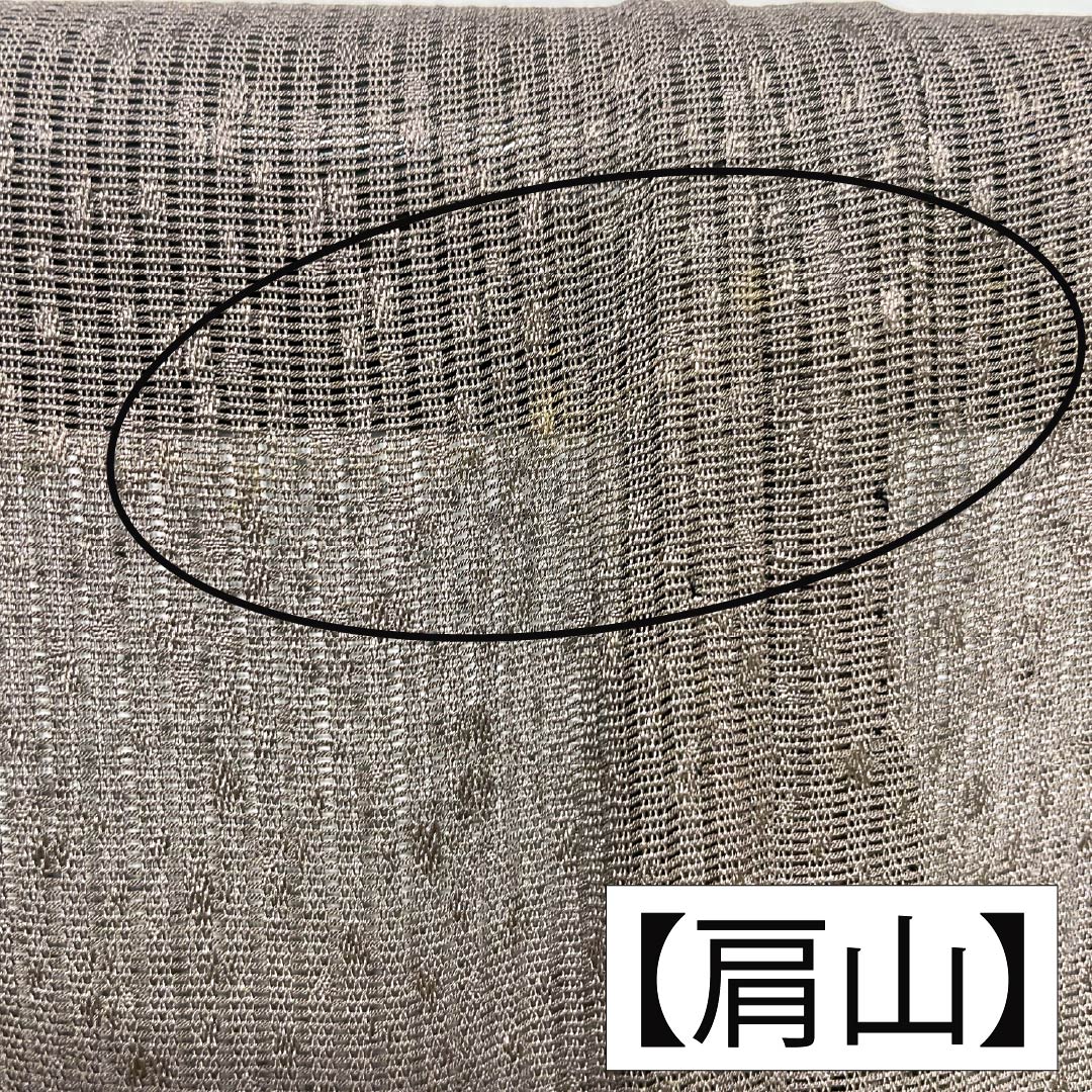 夏物 正絹 訪問着 Bランク 身丈165.5cm 裄丈65cm 都鼠色（みやこねずいろ） 京友禅 タタキ染 秋草 絽 茶系 1132005104514