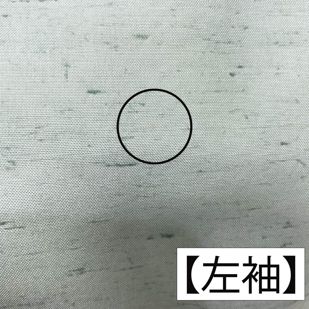 訪問着 正絹 Aランク 袷 身丈155cm 裄丈61cm 薄緑色（うすみどりいろ） 牛首紬 一つ紋 中陰蔦 草花 緑系 1112007533319