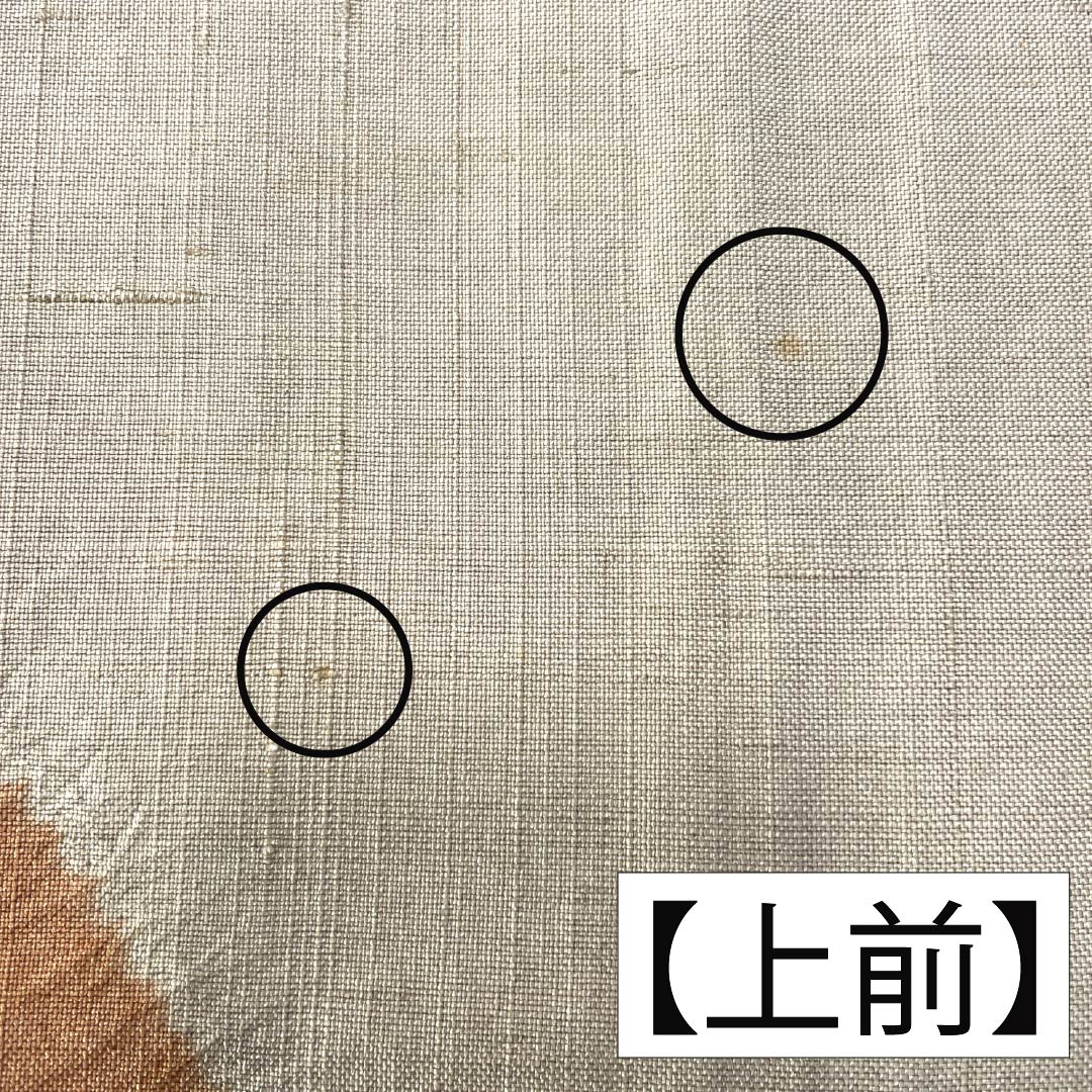 訪問着 正絹 Bランク 袷 身丈160cm 裄丈68cm 亜麻色（あまいろ） 生紬 桶絞り 乾山絞り 伝統工芸作家 吉澤与市 ベージュ系 1112007414425