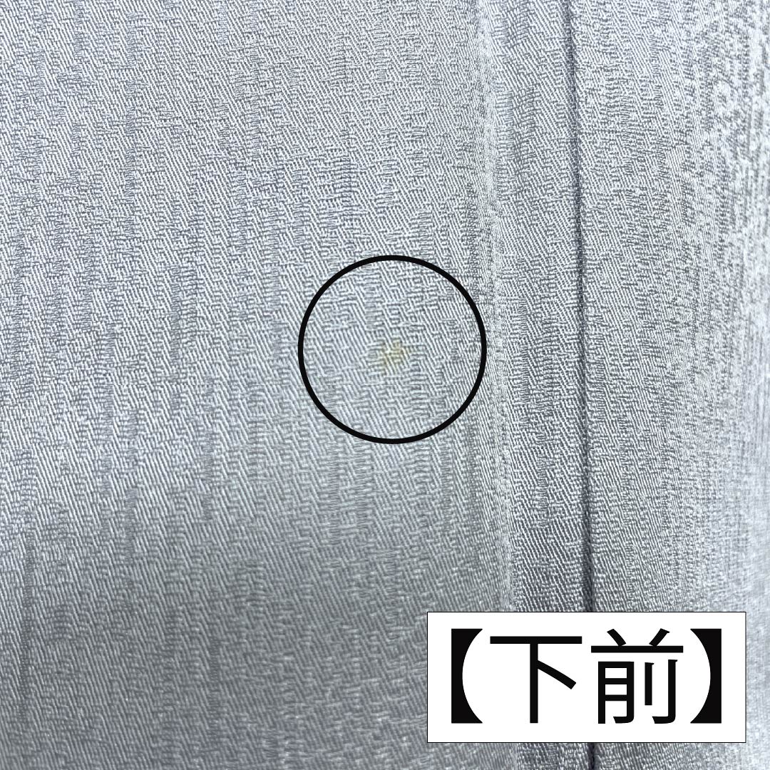 訪問着 正絹 Bランク 袷 身丈168cm 裄丈62cm 白銅色（はくどういろ） 蘇州刺繡 草花 流水 しつけ糸付き グレー系 1112007524522