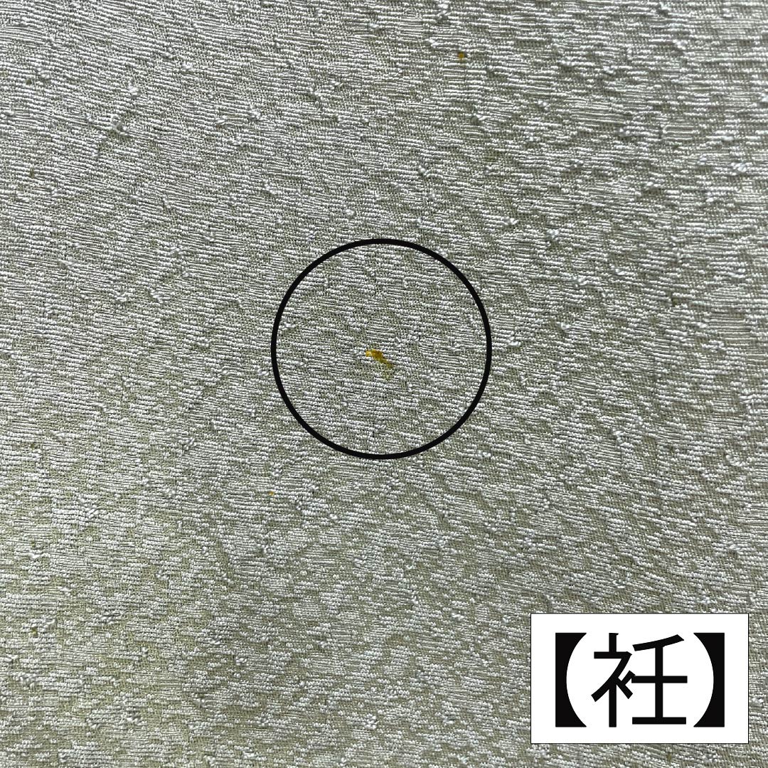 色無地 正絹 Bランク 身丈154cm 裄丈65cm 裏葉色（うらはいろ） 単衣 緑系 1114002374219