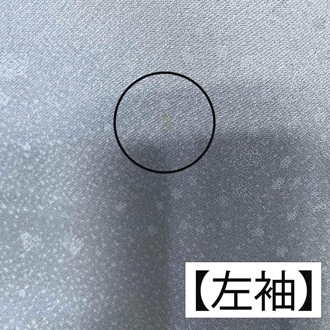 訪問着 正絹 Bランク 袷 身丈164.5cm 裄丈64cm 勿忘草色（わすれなぐさいろ） 付下げ 和田光正 金彩友禅 流水 草木 青系 1112007784417