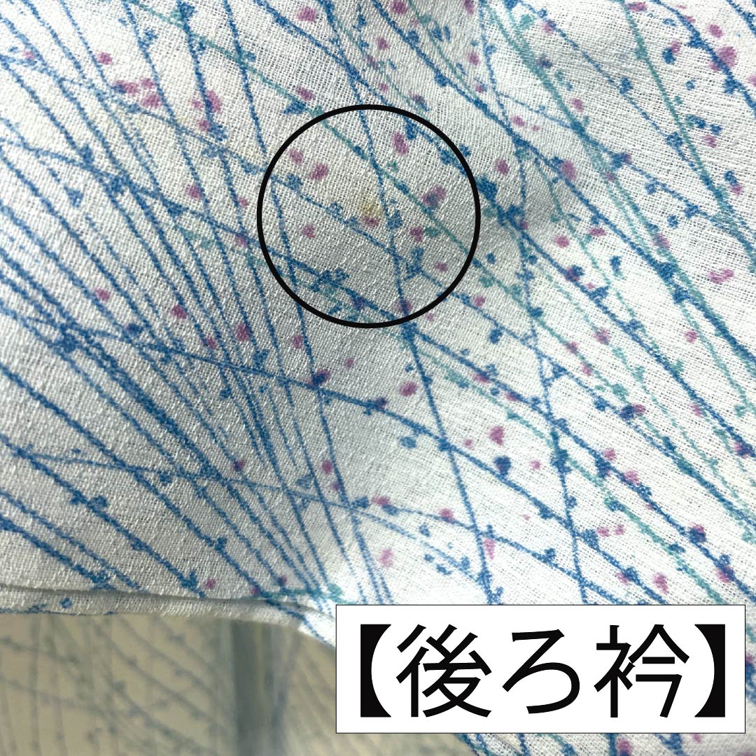 夏物 木綿 小紋 Bランク 身丈156cm 裄丈62cm 蟹鳥染色（かにとりぞめいろ） 抽象模様 紗 水色系 1132004404324