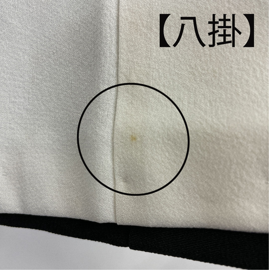 Black Tomesode, Length 155.5cm, Sleeve Length 61.5cm, Awase, Kyo-Yuzen, Crane, Katabami, Pure Silk, B Rank, Five Crests, Black, 1111000344310