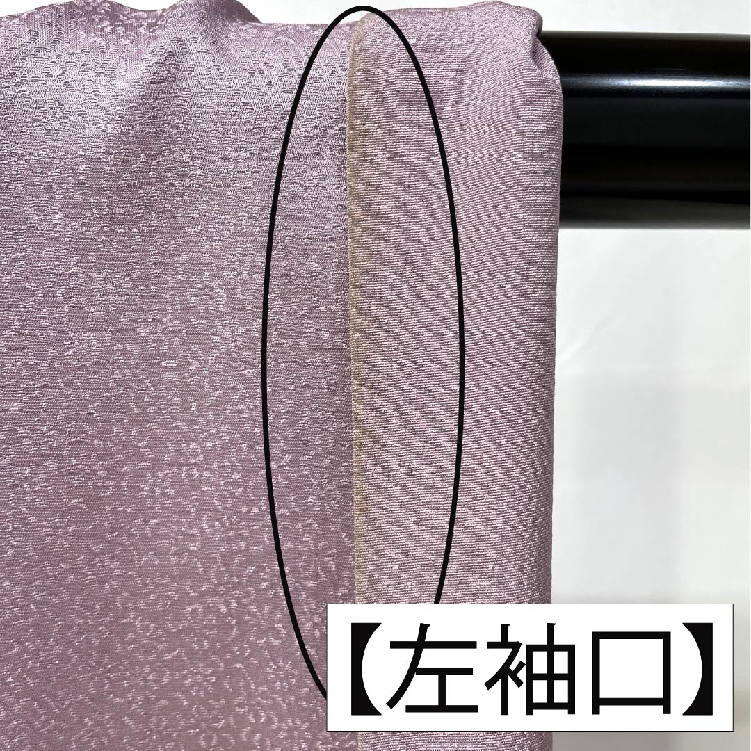 訪問着 正絹 Bランク 袷 身丈165.5cm 裄丈67.5cm 淡紅藤色（うすべにふじいろ） 付下げ 草花 紫系 1112007404520