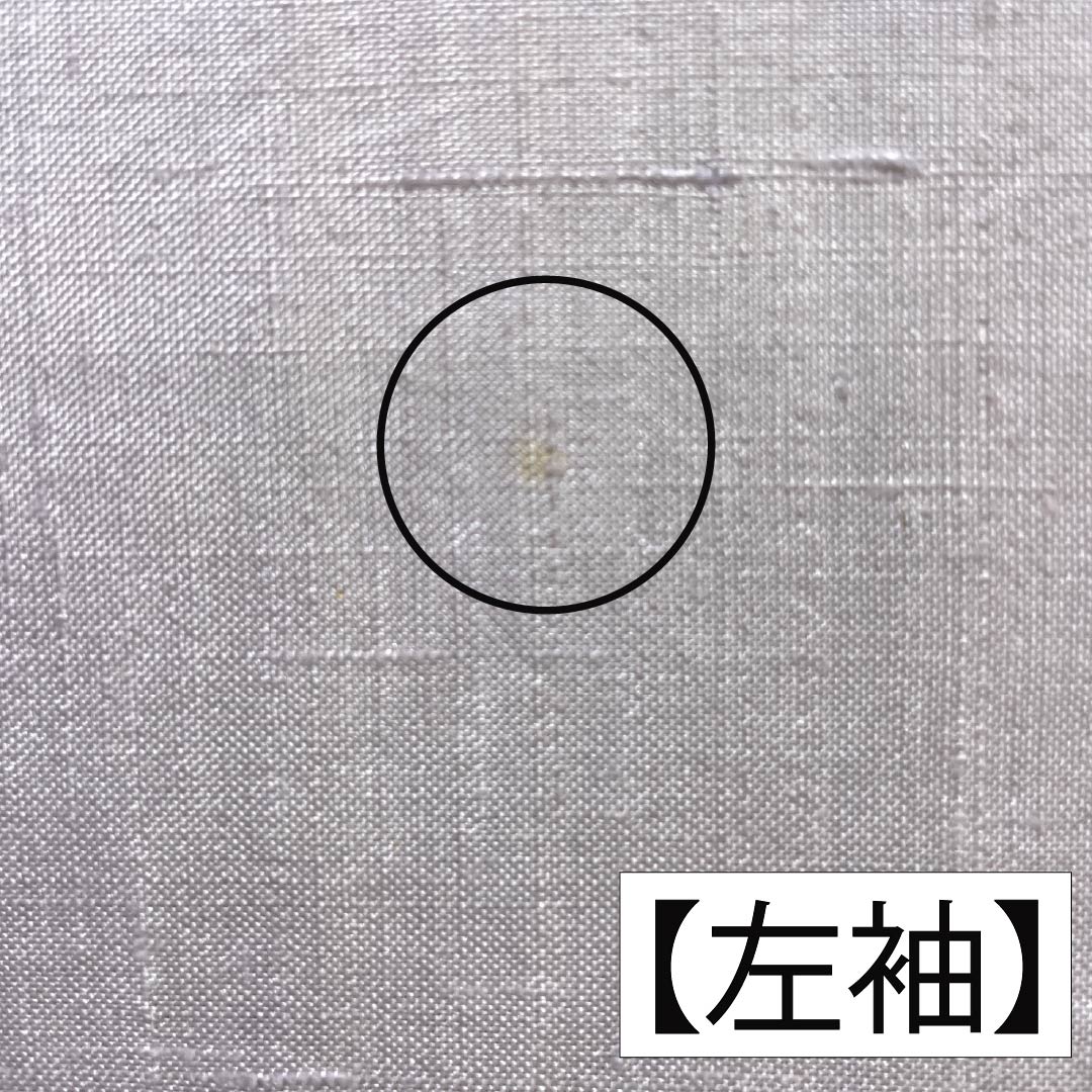 訪問着 正絹 Bランク 単衣 身丈165.5cm 裄丈64.5cm 白藤色（しらふじいろ） 紬地 絞り 作家物 辻ヶ花 紫系 1112007554520
