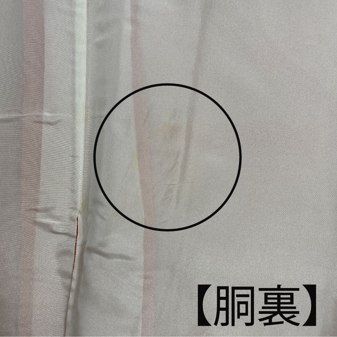 小紋 身丈148cm 裄丈60cm 袷  江戸小紋 流水 鮫 人参色  正絹 Cランク 朱系 1115002145116