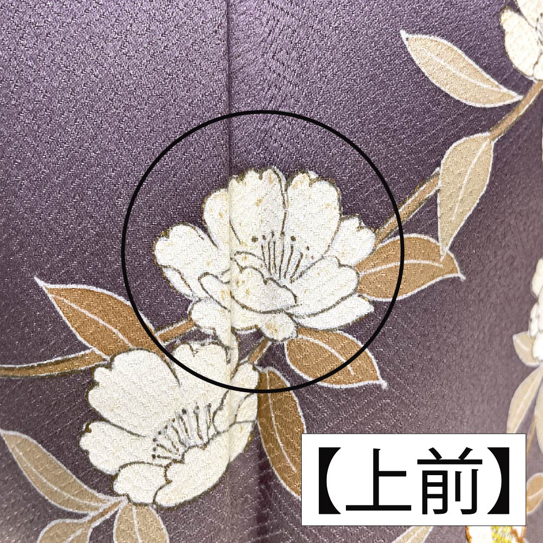 Formal kimono, pure silk, rank B, lined, length 164cm, sleeve to sleeve 64.5cm, reddish gray, Kyo-Yuzen, one crest, plants, purple tones, 1112007044420