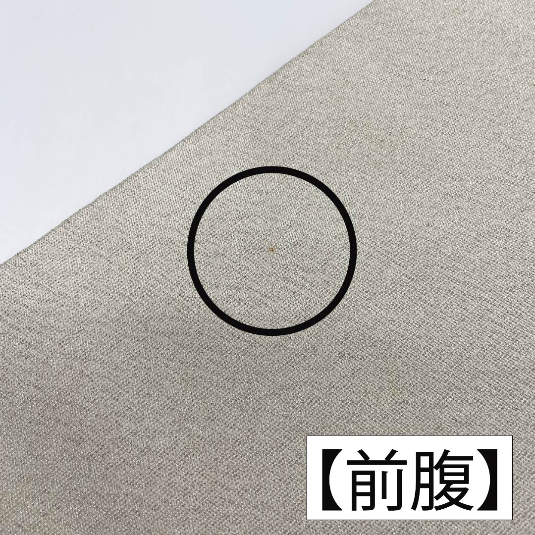 Nagoya Obi, Pure Silk, Grade A, Shell Bucket Design, Tapestry Weave, Embroidery, 371cm Long, Pointed Pattern, Silver, Semi-Formal, 1124010293322, Nagoya Style