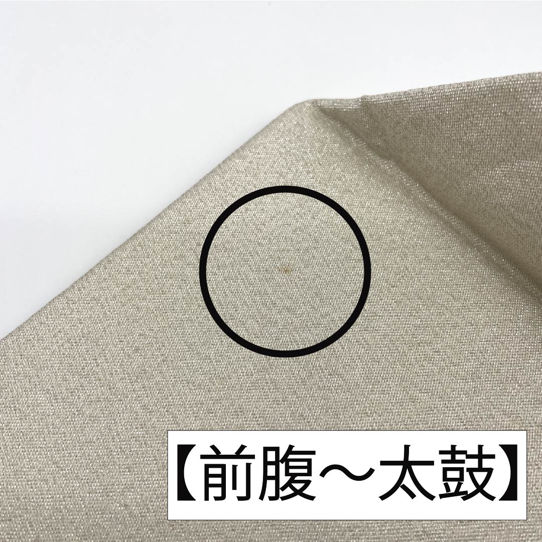 Nagoya Obi, Pure Silk, Grade A, Shell Bucket Design, Tapestry Weave, Embroidery, 371cm Long, Pointed Pattern, Silver, Semi-Formal, 1124010293322, Nagoya Style