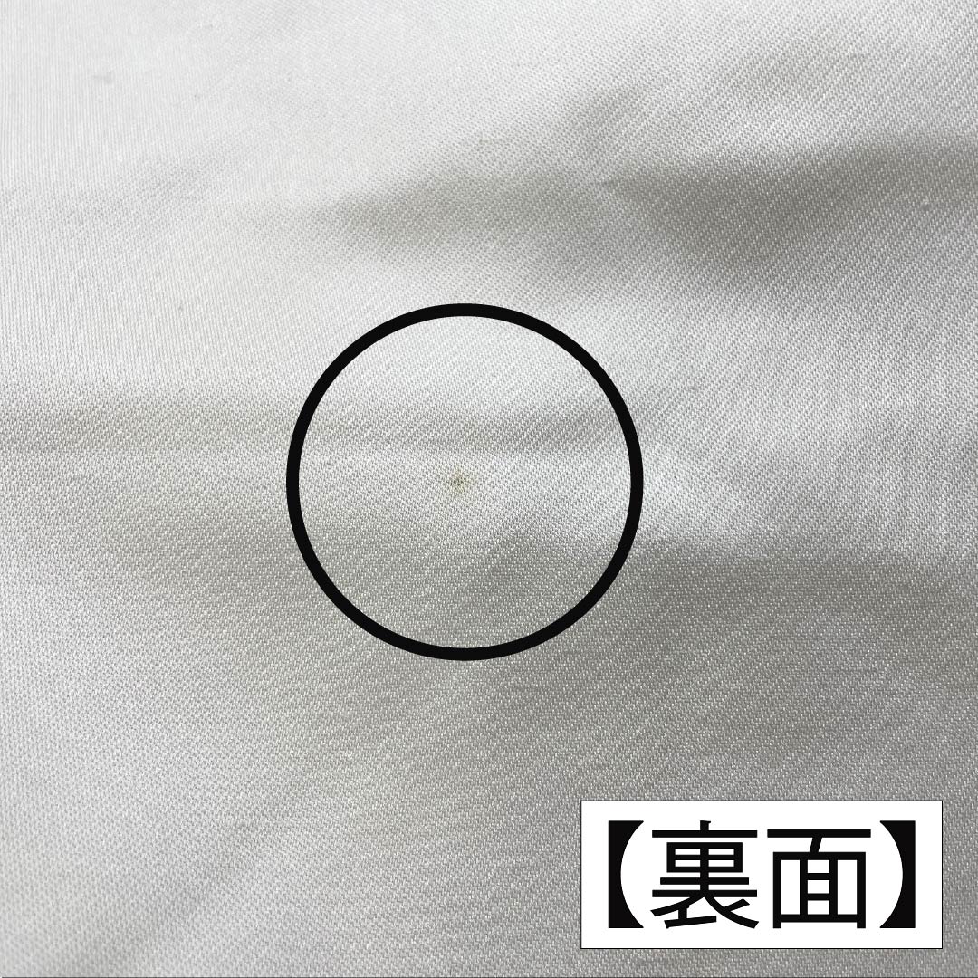 Nagoya Obi, Pure Silk, Grade A, Sazanka (Castle Flower) Pattern, Nishijin-ori Weave, Tsumugi Fabric, Length 363cm, Pointed Pattern, Casual, White, Item Number 1124010153311, Nagoya Style