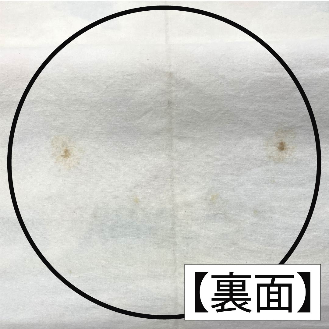 Nagoya Obi, Pure Silk, Grade B, Milky White, Kyoto Bingata Dyed Obi with Auspicious Motifs, Length 402cm, Six-Ply, Casual, Cream-Colored, 1124009924415, Pine Needle Pattern