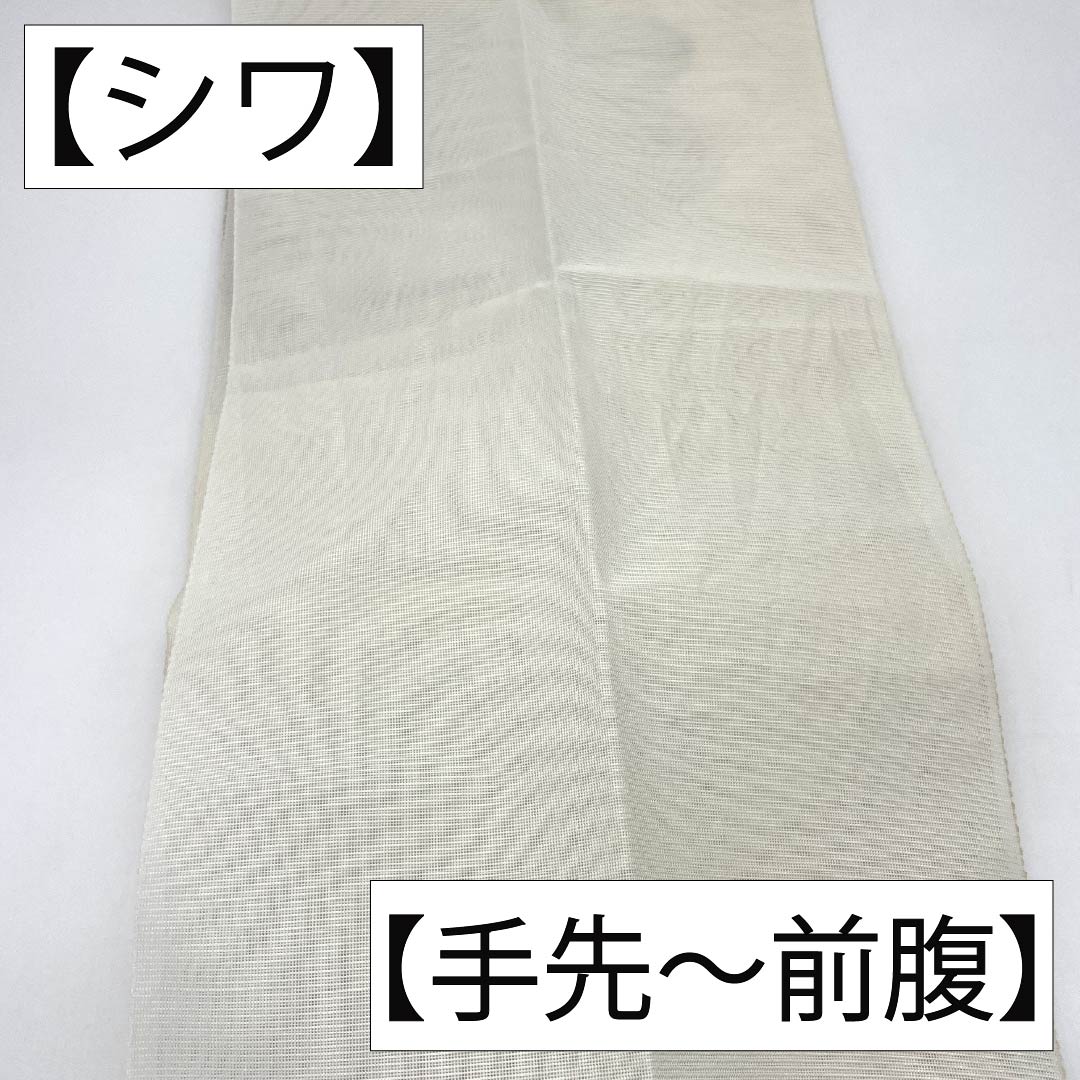 名古屋帯 正絹 Aランク 松葉仕立て 乳白色（にゅうはくしょく） 抽象植物模様 夏帯 長尺 帯丈380cm ポイント柄 セミフォーマル 白系 1124013133411