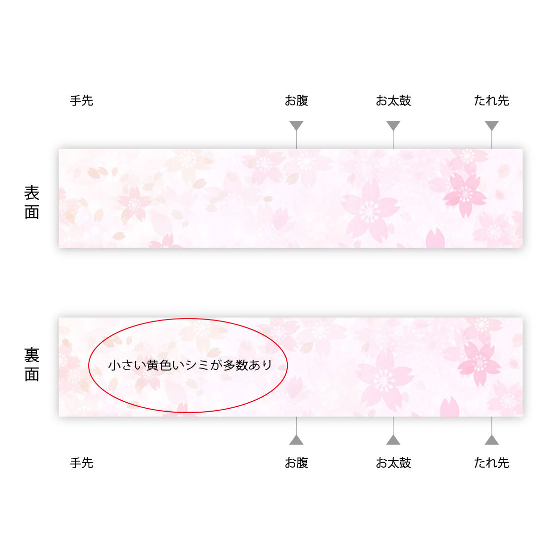 Nagoya Obi, Intangible Cultural Property, Ushiku Tsumugi, Sagara Embroidery, Floral Pattern, Obi Length 377cm, Pure Silk, A Rank, Point Pattern, Casual, Gray, 1124000574322, Open Style